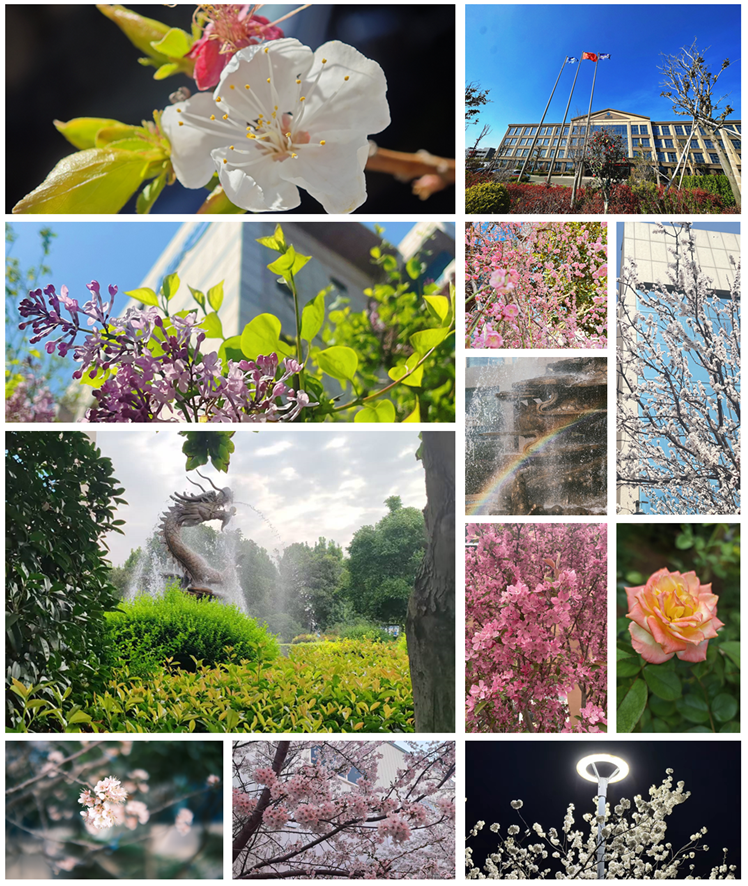 定格精彩 追寻美好——星空电子员工美拍活动落地