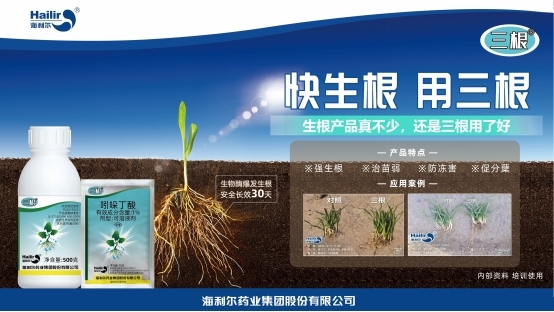 告别粗暴 转向协调——星空电子重新定义生根技术