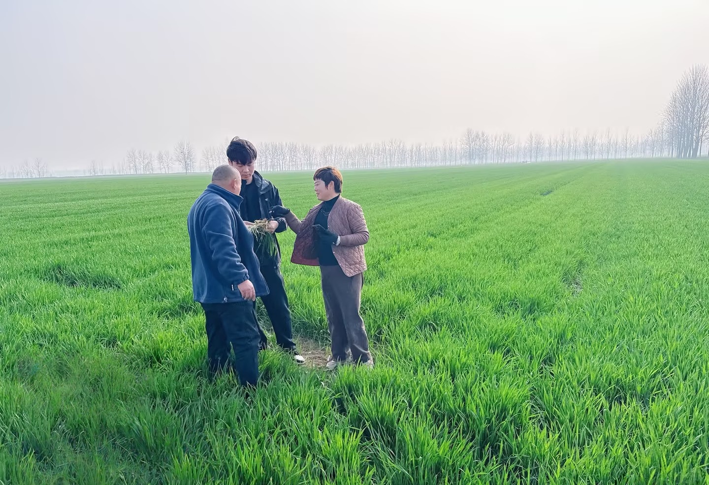 星空电子：战春耕 护航丰收开好局